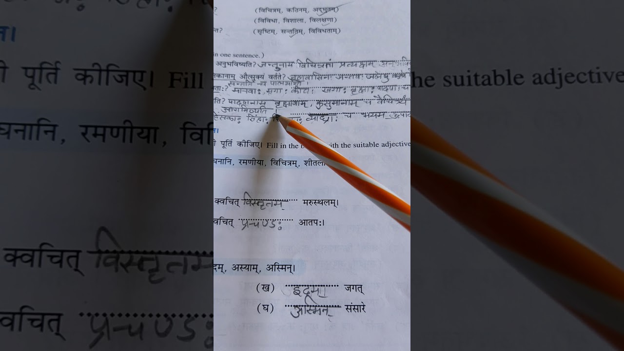 sanskrit-manjusha-chapter-9-class-8-exercise-youtube
