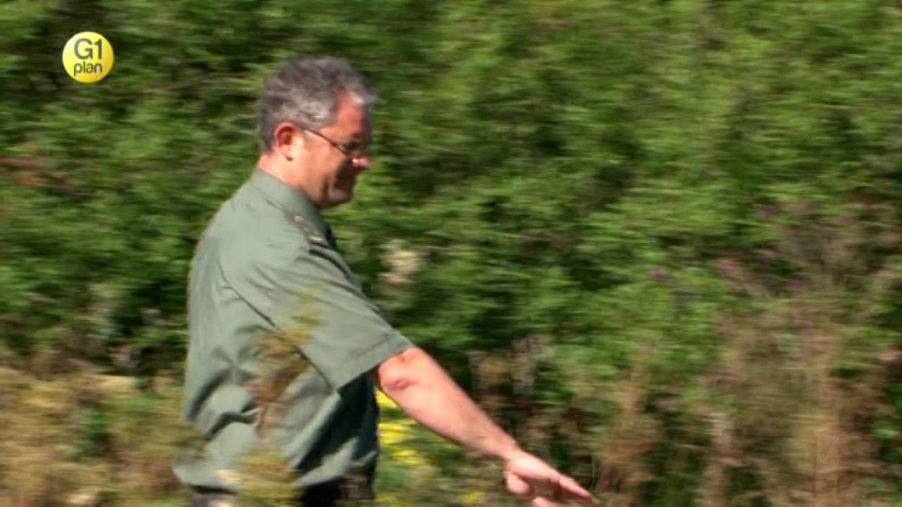 Les cours d'eau, sources de vie