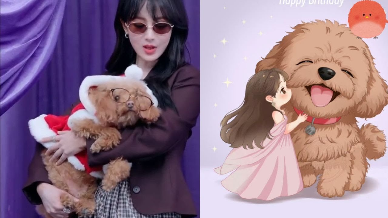 «Клип Цзы настоящий!» Детский голос Ян Цзы, озвучивающий Пиупиу, вызвал настоящий ажиотаж в интер...