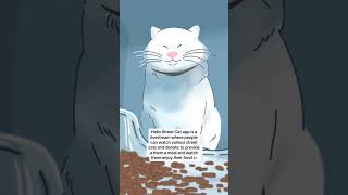 Hello Street Cat App Brother Calm: He is Meditating #streetcats #straycat #drawing #whitecat