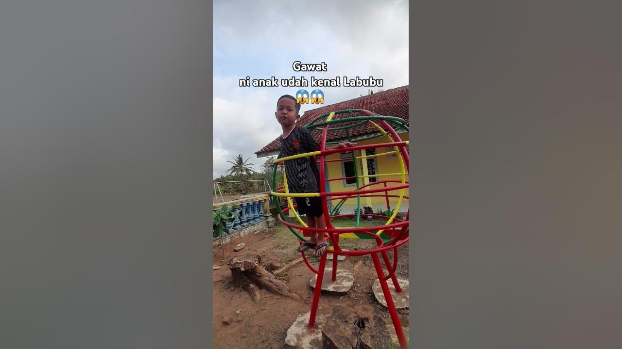 😨 #labubu #funny #fypシ゚viral #anakindonesia #ukulele #song #music #cover #cat #fypシ゚viral #funny
