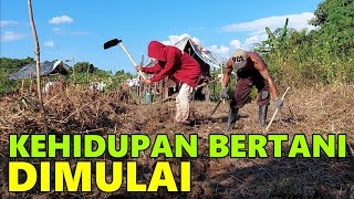 PAK HARUN BERSEMANGAT BERKEBUN, IBU NELY SIBUK KUMPULKAN KAYU BAKAR, PAK UDIN REBAHKAN RUMPUT TINGGI
