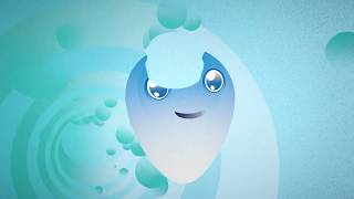 The Water Cycle