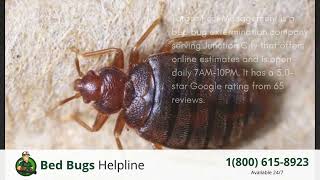 Top 3 Bed Bug Removal in Junction City