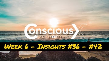 Week 6 - Recap of insights #36 - #42
