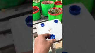 DIY Plant Pots from Plastic Bottles – Simple Recycling Idea 🌱♻️