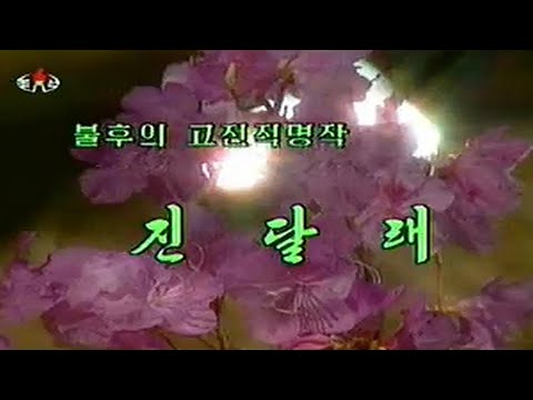 Mansudae Art Troupe - 진달래 (Azaleas)