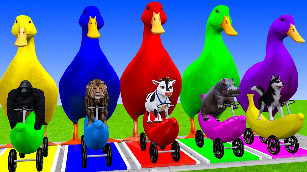 Long Slide Game With Cow Elephant Gorilla Hippopotamus Tiger 3d Animal Game Funny 3d Animals