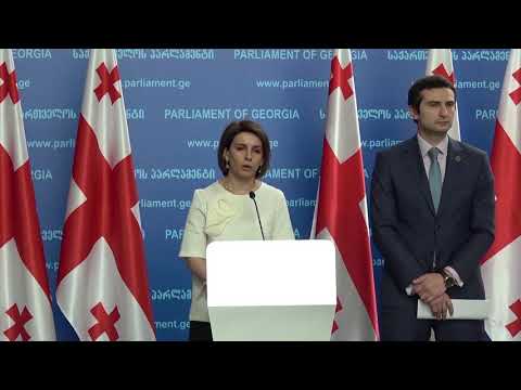 საქართველოს პარლამენტის ვიცე-სპიკერმა ბრიფინგი გამართა