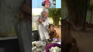 Cik Kambing pun nak join makan nasi sekali la 😅🤣 #reactionlucu #bangyusuf #funnyvideo