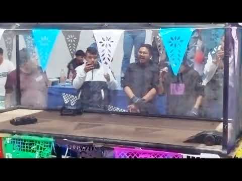 Final Guerra de Robots de DIMA Chapingo