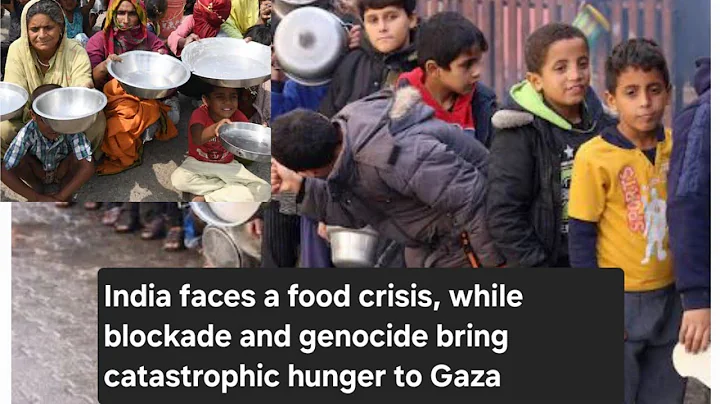 Hunger Crisis: India's Dismal Rank As Gaza Faces Catastrophic Food Insecurity Amid Blockade