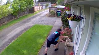 Angry Amazon Driver Having a Bad Day