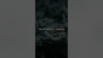 اكتب شيء تؤجر عليه | سورة الإسراء الآية 1-3 القارئ ماهر المعيقلي