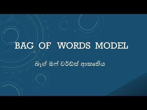 Bag of Words Model | Sinhala | ML Glossary | Nuwanthika Waihenage