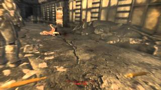 [New Vegas] - FALCON PUNCH