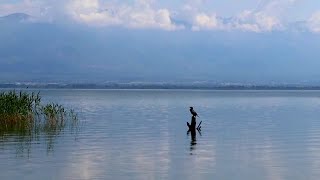 Водата во Дојранското езеро го достигна највисокото ниво на загаденост