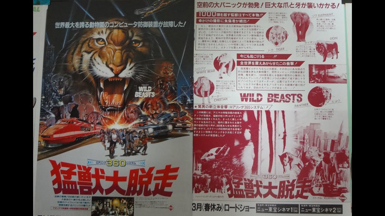 猛獣大脱走 特別版 DVD 【公式通販】 猛獣大脱走 特別版 WILD BEASTS