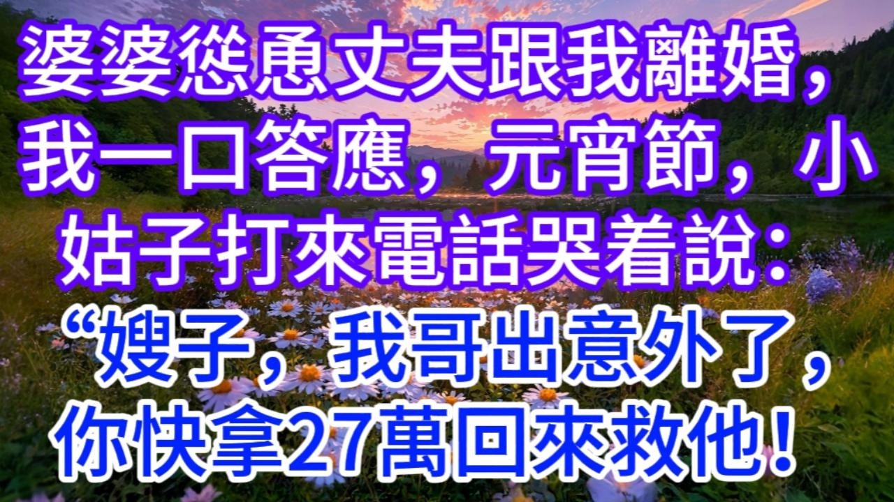 婆婆慫恿丈夫跟我離婚，我一口答應，元宵節，小姑子打來電話哭着說：“嫂子，我哥出意外了，你快拿27萬回來救他！
