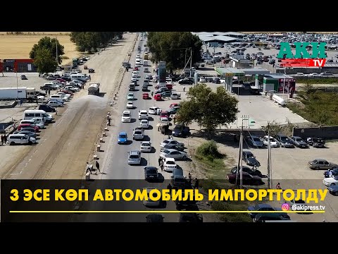 Video: Программист болуунун 6 жолу