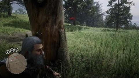 Red Dead Redemption 2 griefing problem