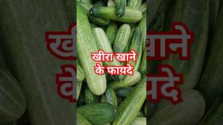 खर खन क फयद Benefits Of Eating Cuber