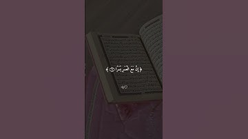 فَإِنَّ مَعَ الْعُسْرِ يُسْرًا_سعد الغامدي _ سورة الشرح