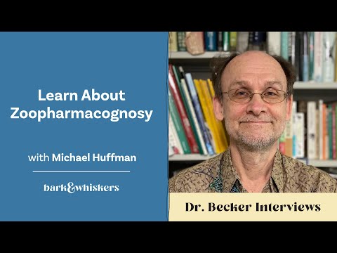 Learn About Zoopharmacognosy With Michael Huffman