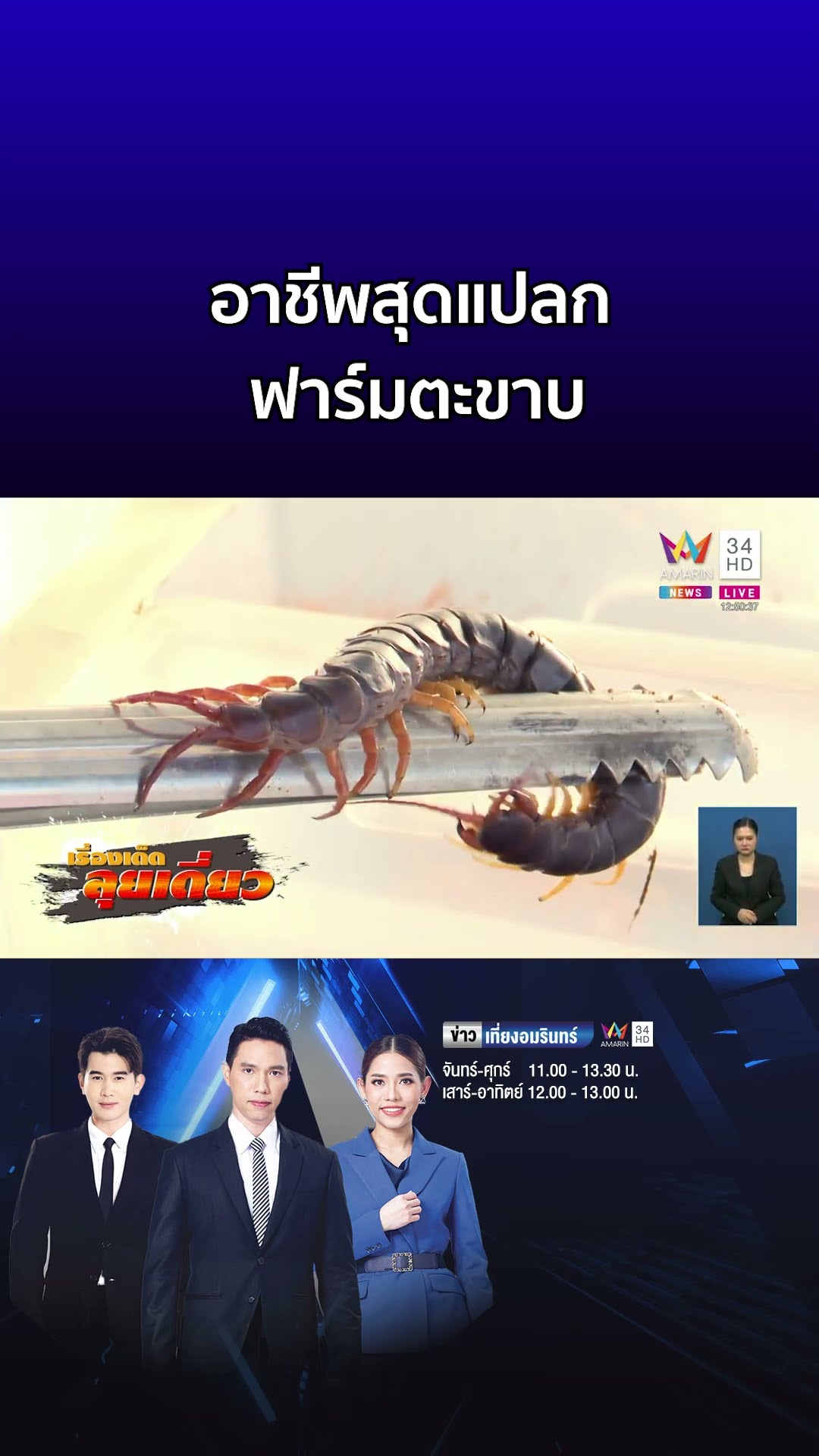 เรื่องเด็ดลุยเดี่ยว  อาชีพสุดแปลก ฟาร์มตะขาบ จ มหาสารคาม  | ข่าวเที่ยงอมรินทร์