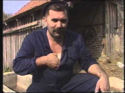 josip pejakovic kako bolan nema bosne josip pejakovic kako bolan nema bosne