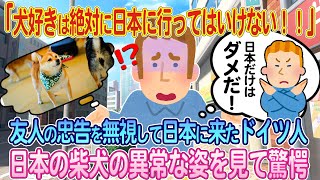 「犬が好きなら日本にだけは行ってはいけない」友人の忠告を無視して日本に来たドイツ人男性、日本の豆柴犬の異常な姿に唖然...【ゆっくり解説・海外の反応】