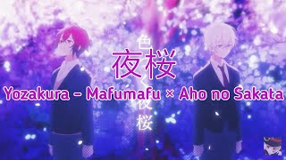 夜桜 / Yozakura - Mafumafu × Aho no Sakata | Dengan lirik Romaji (Terima kasih khusus untuk 200 Sub)