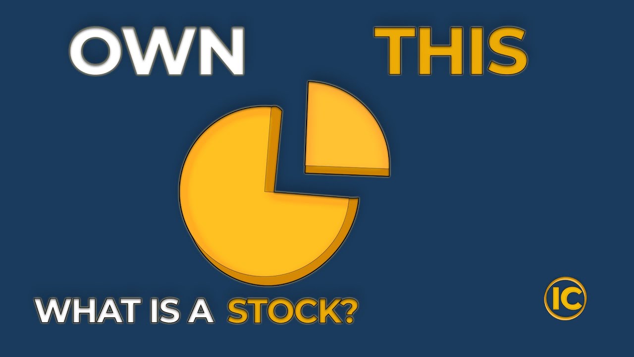 what is a stock(simple explanation) - YouTube