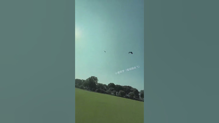 Sugar gliders were caught by eagles!