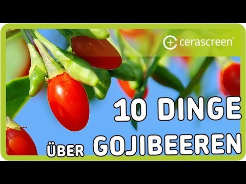 Sind Gojibeeren wirklich so gesund | Was kann das Superfood | 10 Dinge über Goji