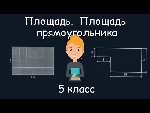 Площадь. Площадь прямоугольника. 5 класс