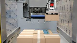 Automatic Cartesian Palletizer "TRON COMPACT" for cheese boxes