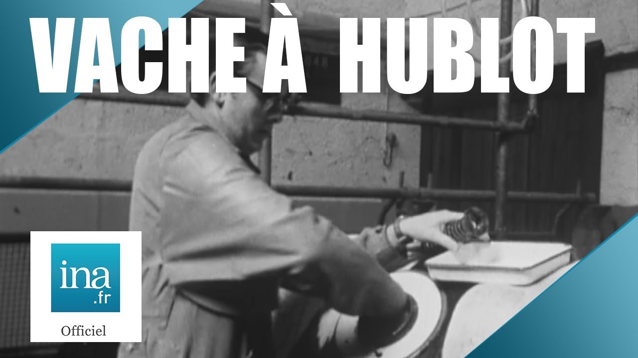 Vache A Hublot A Quoi Ca Sert