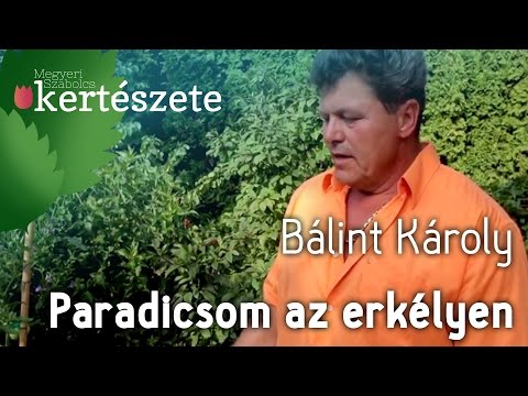 Videó: Mit mond Rómeó Júliának az erkélyen?