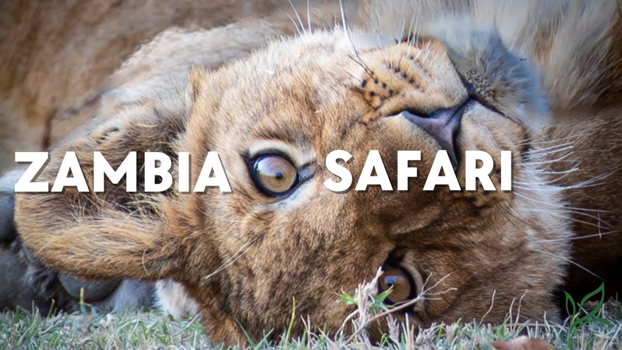 Zambia Tourism