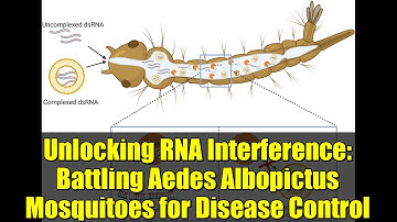 Unlocking RNA Interference: Battling Aedes Albopictus Mosquitoes for Disease Control