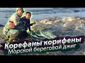 БЕЗУМИЕ на рифе. Столько рыбы я ещё не видел! Вост.-Кит. море. Корифена. Морская рыбалка. 2018/12