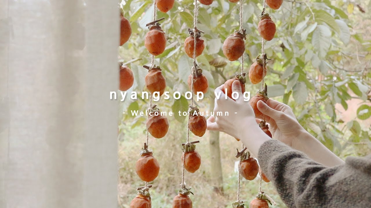 집순이의 가을나기 브이로그 | 한국 시골의 가을 일상🍂