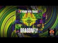 D r a g o n f l y ~ A Voyage Into Trance ~ Mixed by Paul Oakenfold ᴴᴰ