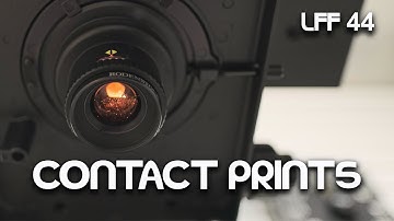 8x10" B&W Contact Prints - Large Format Friday