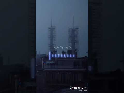 بنتمني لحظه تجمعنا لحبيبنا