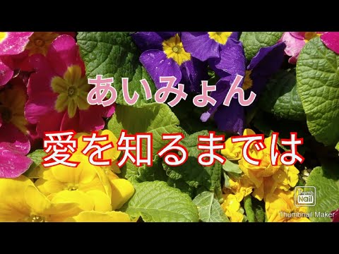 あいみょん　愛を知るまでは　very short movie 簡単なコード進行で歌ってみた😊