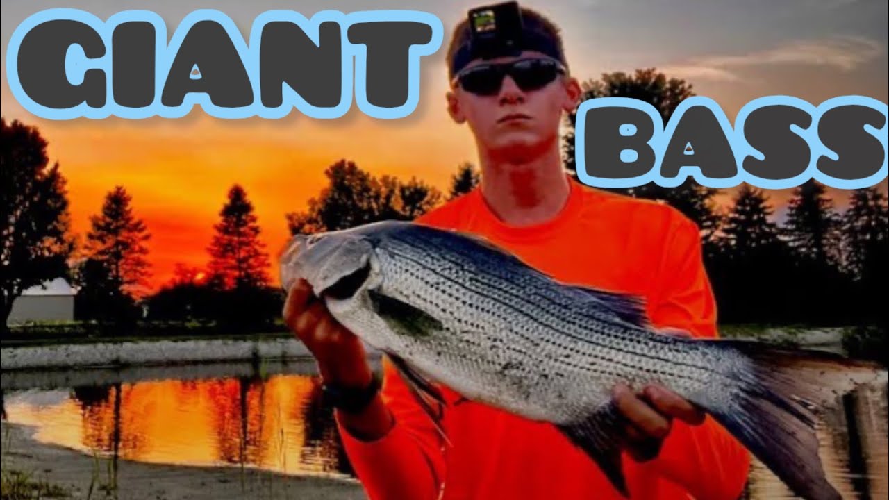 Top Water Bass Fishing Karens Pond Loaded With Giants | Monroe Michigan