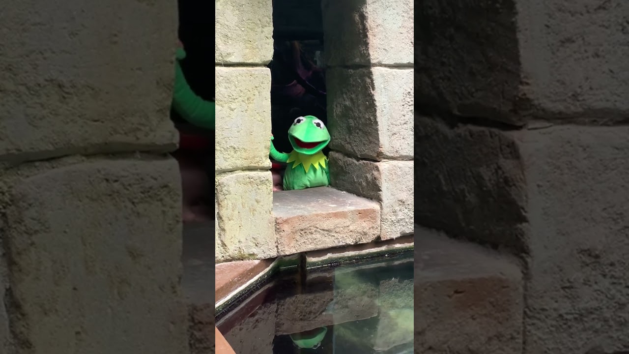 Kermit visiting friends 😂