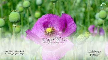 41 سورة فصلت | القارئ :حمزة معاذ
